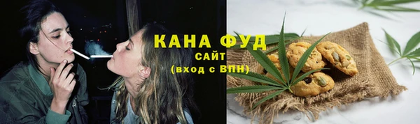 индика Белокуриха