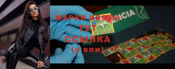 индика Белокуриха