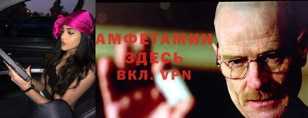 индика Белокуриха