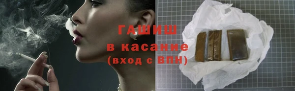 индика Белокуриха