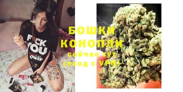 индика Белокуриха